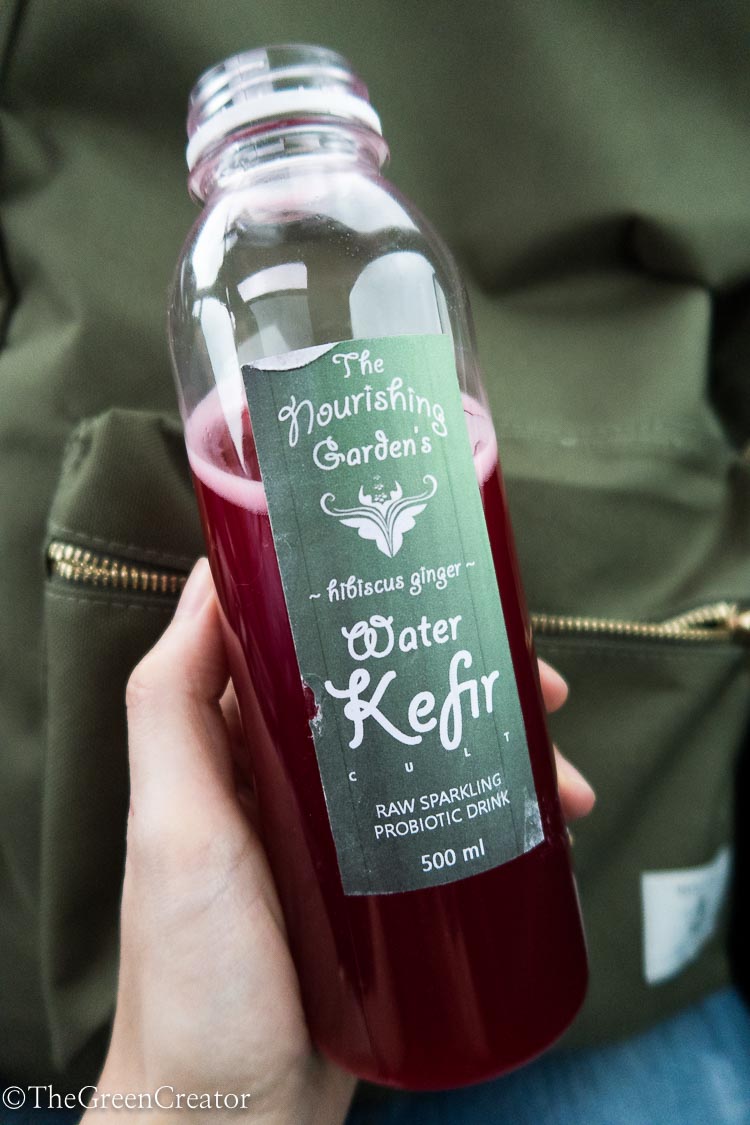 fermented hibiscus ginger drink