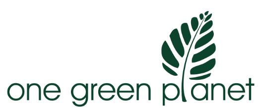 one green planet logo